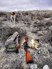 Percha en día de caza, dos perdices, una liebre y un conejo